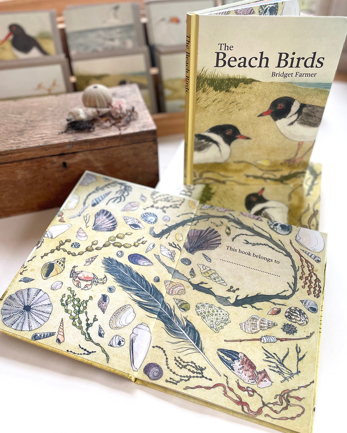 Bridget Farmer - The Beach Birds