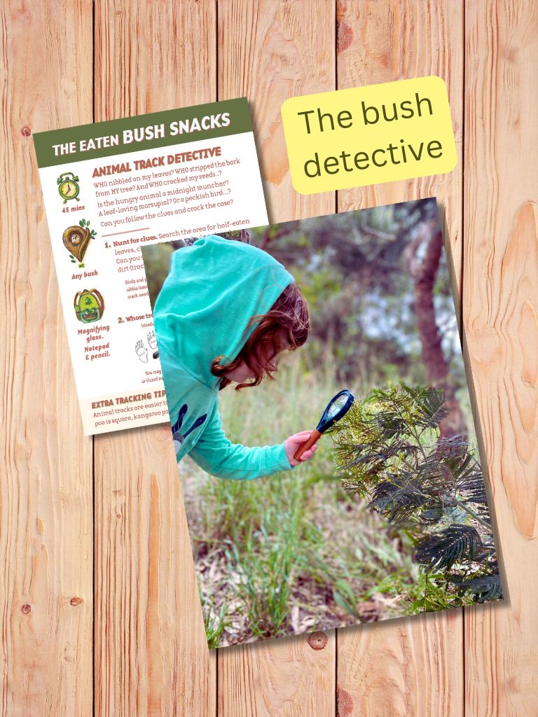 Gumnut Trail - Bush Adventures