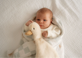Load image into Gallery viewer, Pop Ya Tot - Waddles the Goose Comforter Toy