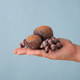 Load image into Gallery viewer, Bumbu Toys - Spider