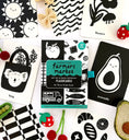 Load image into Gallery viewer, Lauren Sissons Studio - High Contrast Flashcards for Baby