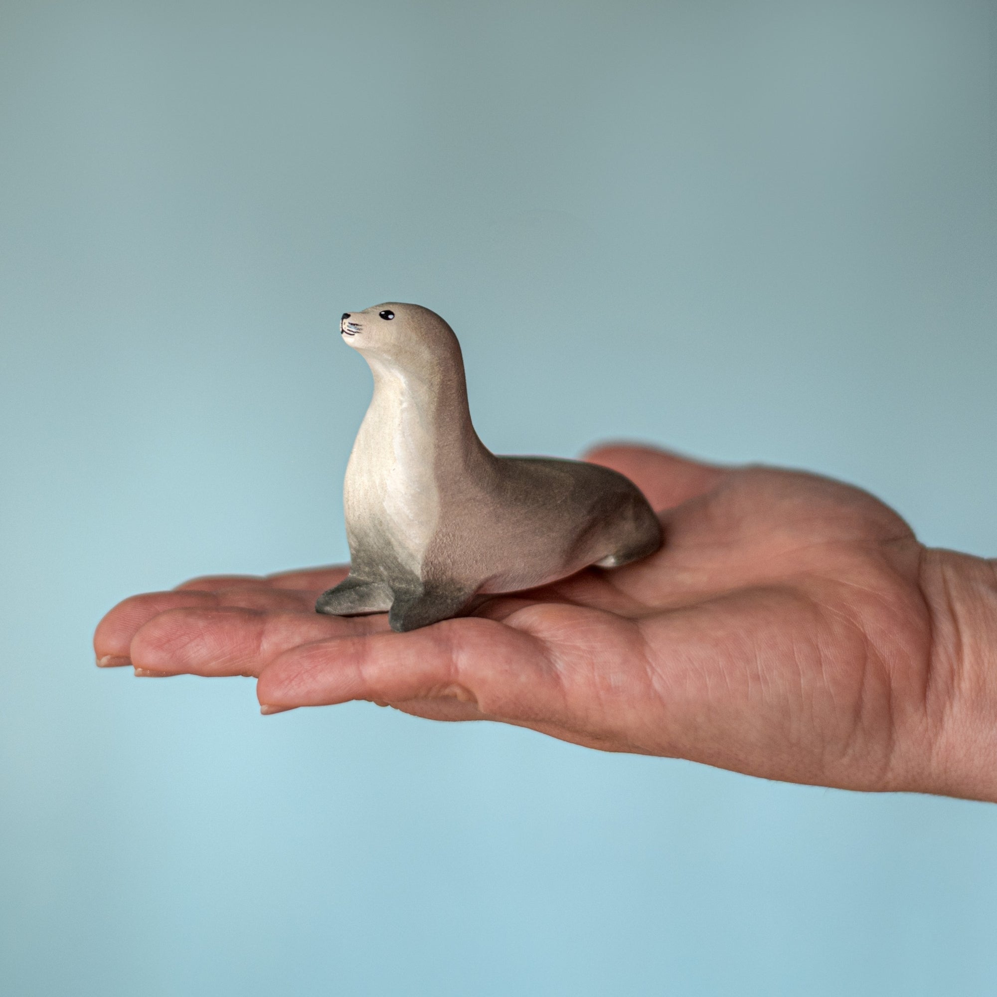 Bumbu Toys - Curious Harp Seal