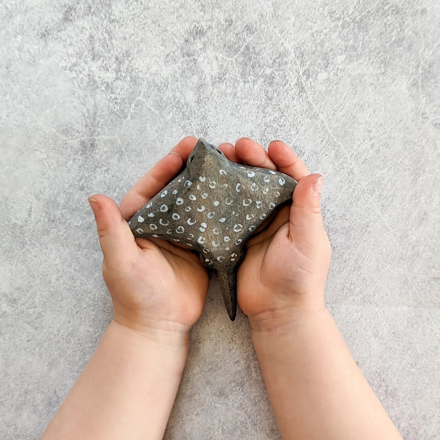 NOM Handcrafted - Eagle Ray
