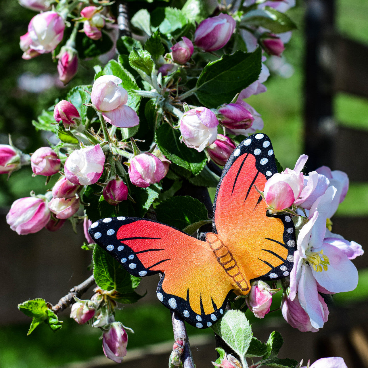 Bumbu Toys Butterfly - Cheeky Junior