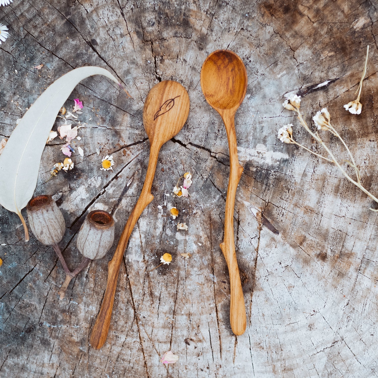 Wild Mountain Child Twig Spoon - Cheeky Junior