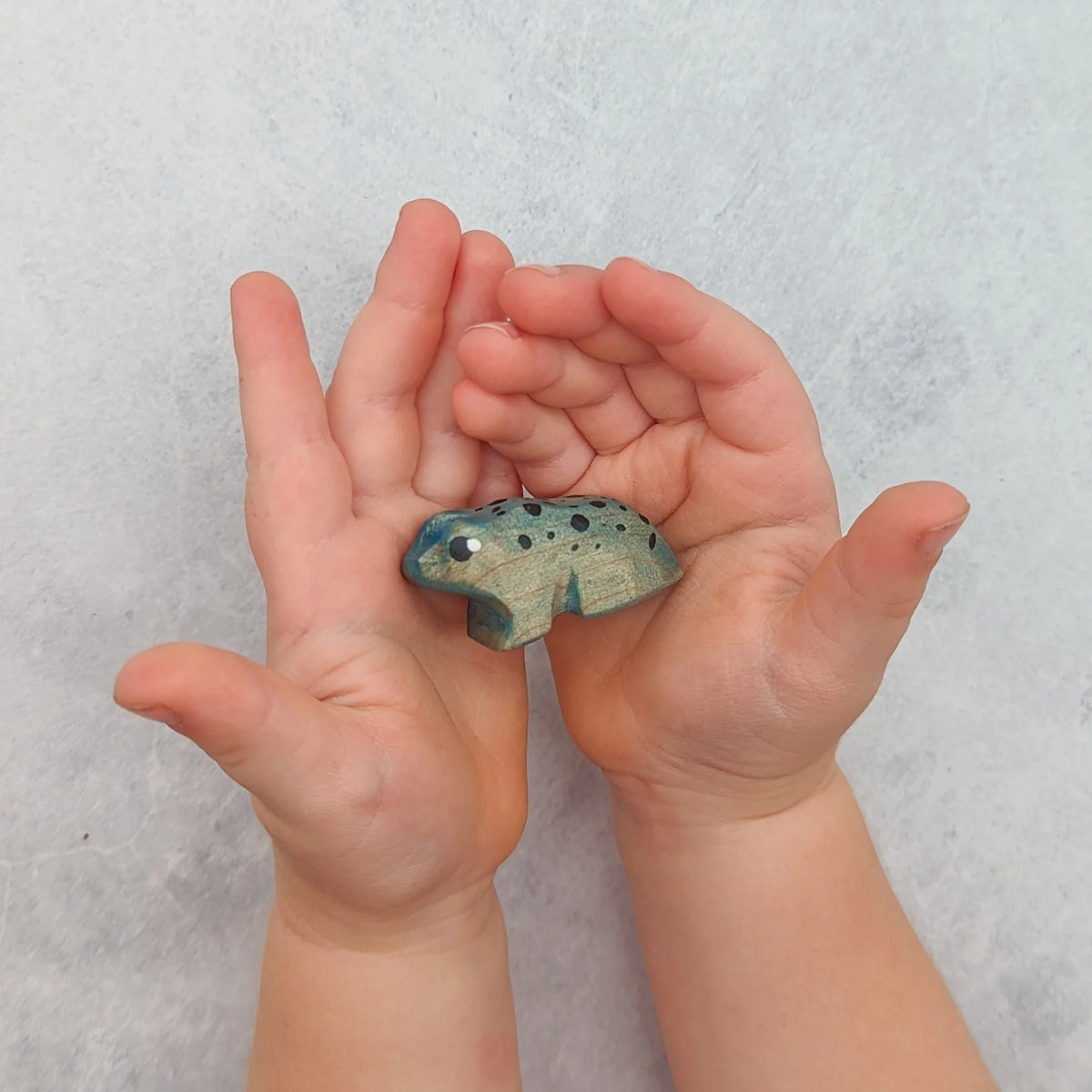 NOM Handcrafted - Poison Dart Frog