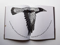 Load image into Gallery viewer, Bridget Farmer - Kookaburra Kookaburra
