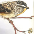Load image into Gallery viewer, Bridget Farmer - The Bush Birds
