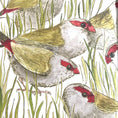 Load image into Gallery viewer, Bridget Farmer - The Bush Birds