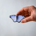 Load image into Gallery viewer, Bumbu Toys - Blue Butterfly