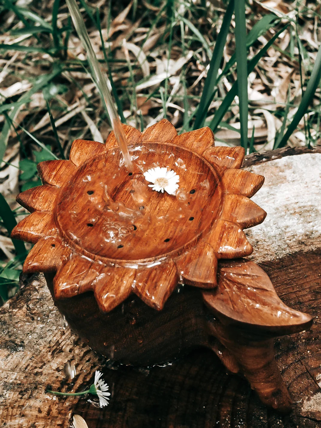 Wild Mountain Child Sun Strainer - Cheeky Junior