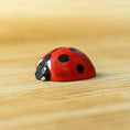Load image into Gallery viewer, Bumbu Toys Ladybug - Cheeky Junior