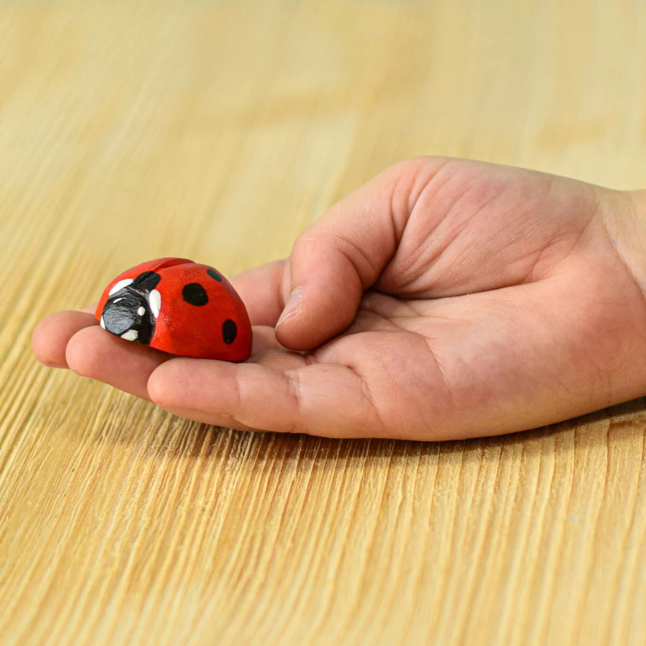 Bumbu Toys Ladybug - Cheeky Junior