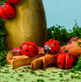 Load image into Gallery viewer, Bumbu Toys Ladybug - Cheeky Junior