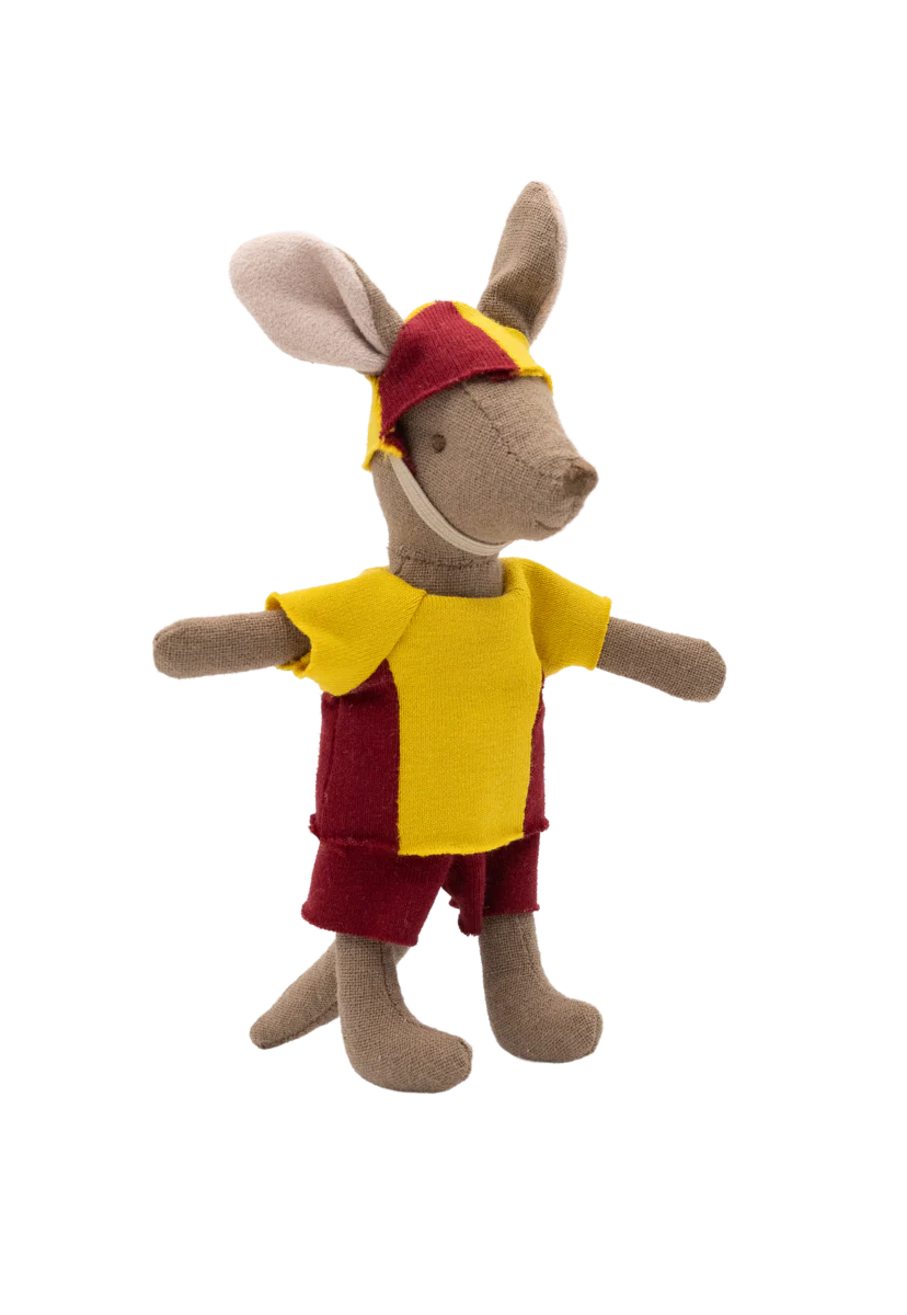 Rugaroo - The Surf Rescuer