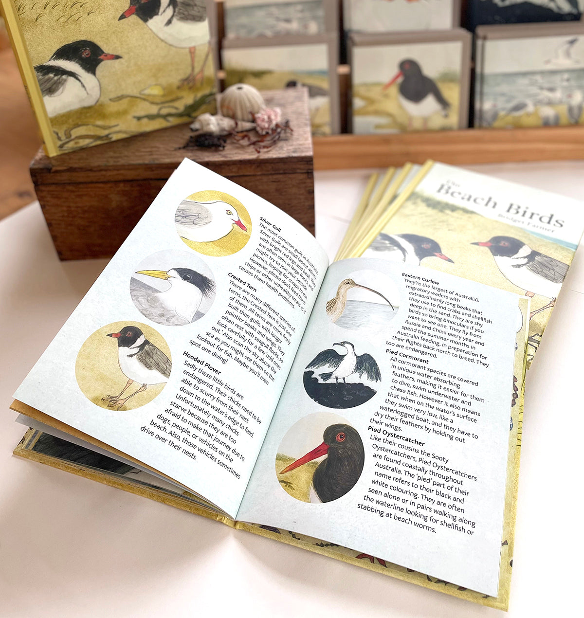 Bridget Farmer - The Beach Birds