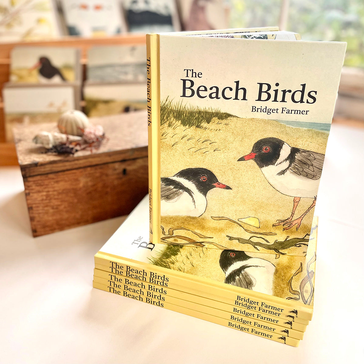 Bridget Farmer - The Beach Birds