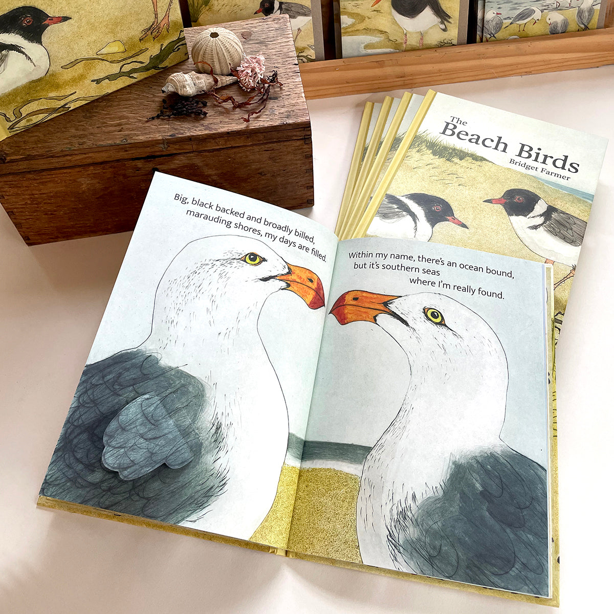 Bridget Farmer - The Beach Birds
