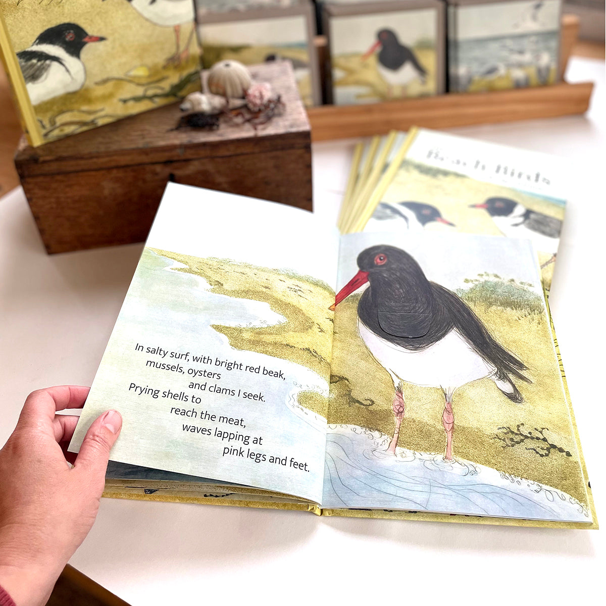 Bridget Farmer - The Beach Birds