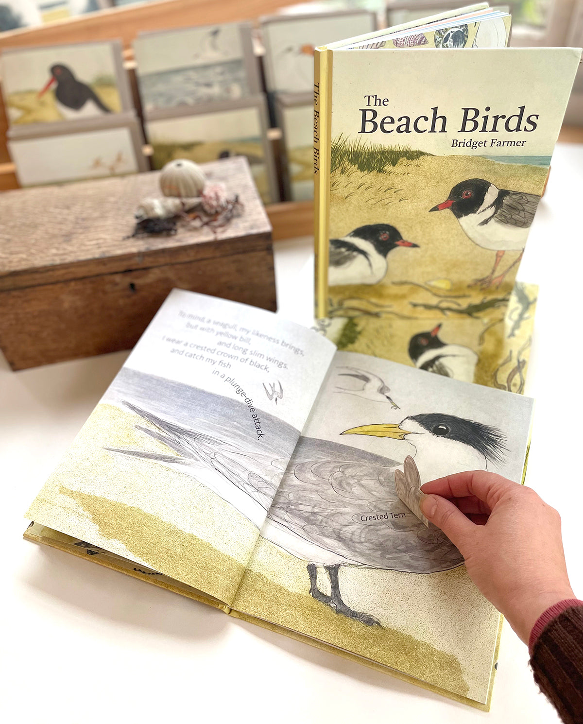 Bridget Farmer - The Beach Birds