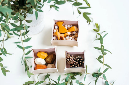 WITHIN & CO Blooms™ - Blush Sand