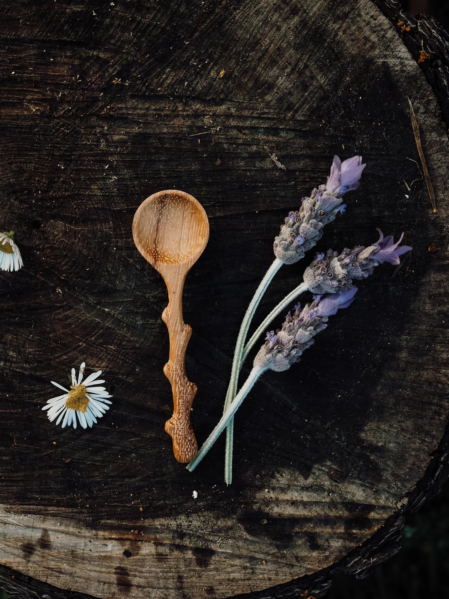 Wild Mountain Child Branchling (Mini Branch) Spoon - Cheeky Junior