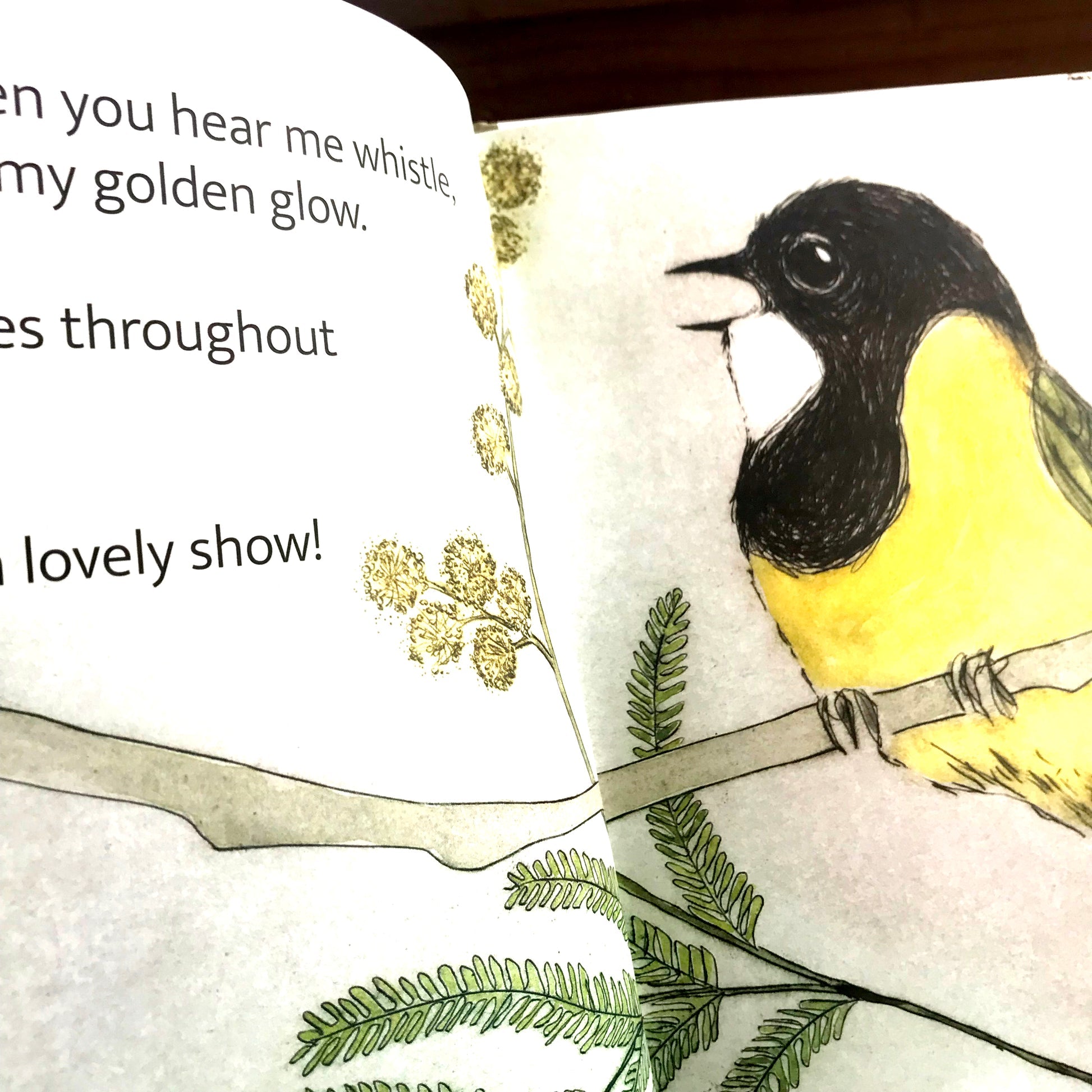 Bridget Farmer - The Bush Birds