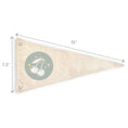 Load image into Gallery viewer, Cherrypick - Long Live Girlhood Canvas Pennant Flag
