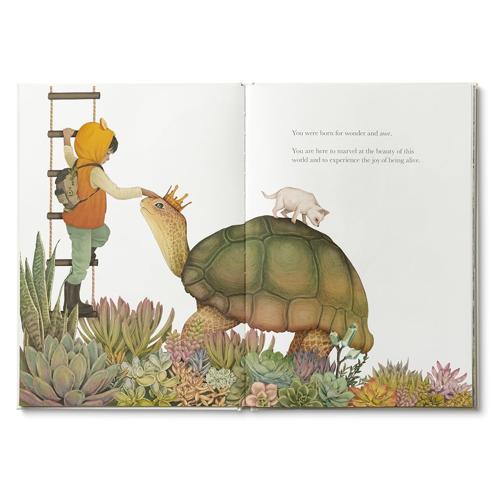 Kobi Yamada - Why Not?