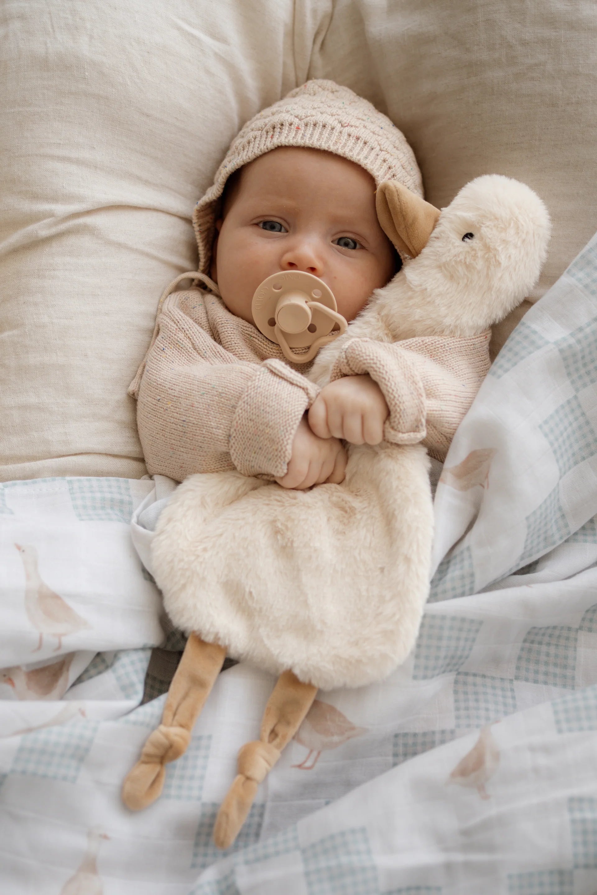 Pop Ya Tot - Waddles the Goose Comforter Toy