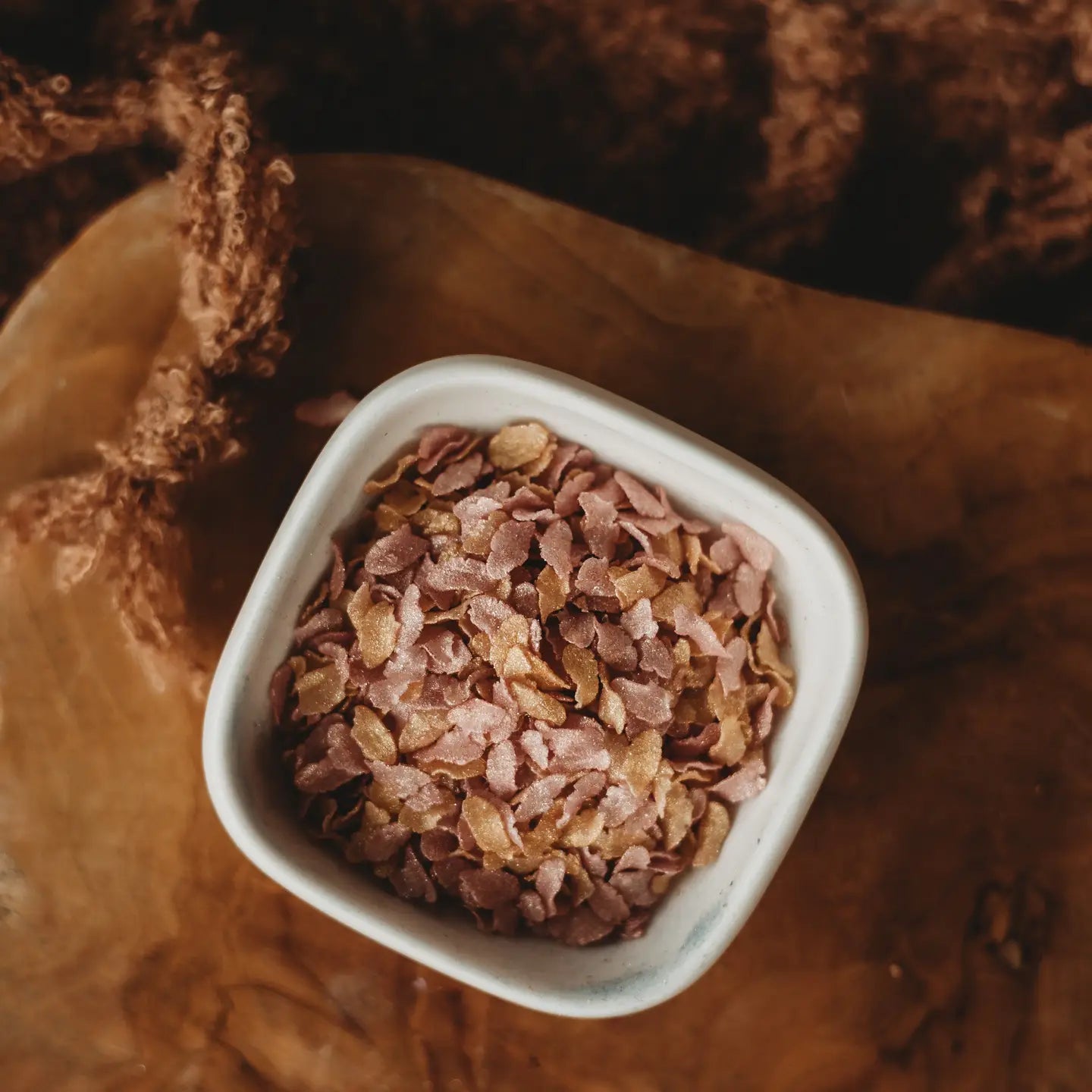 The Saltwater Collective - Iridescent Scales Coral Cove 85g