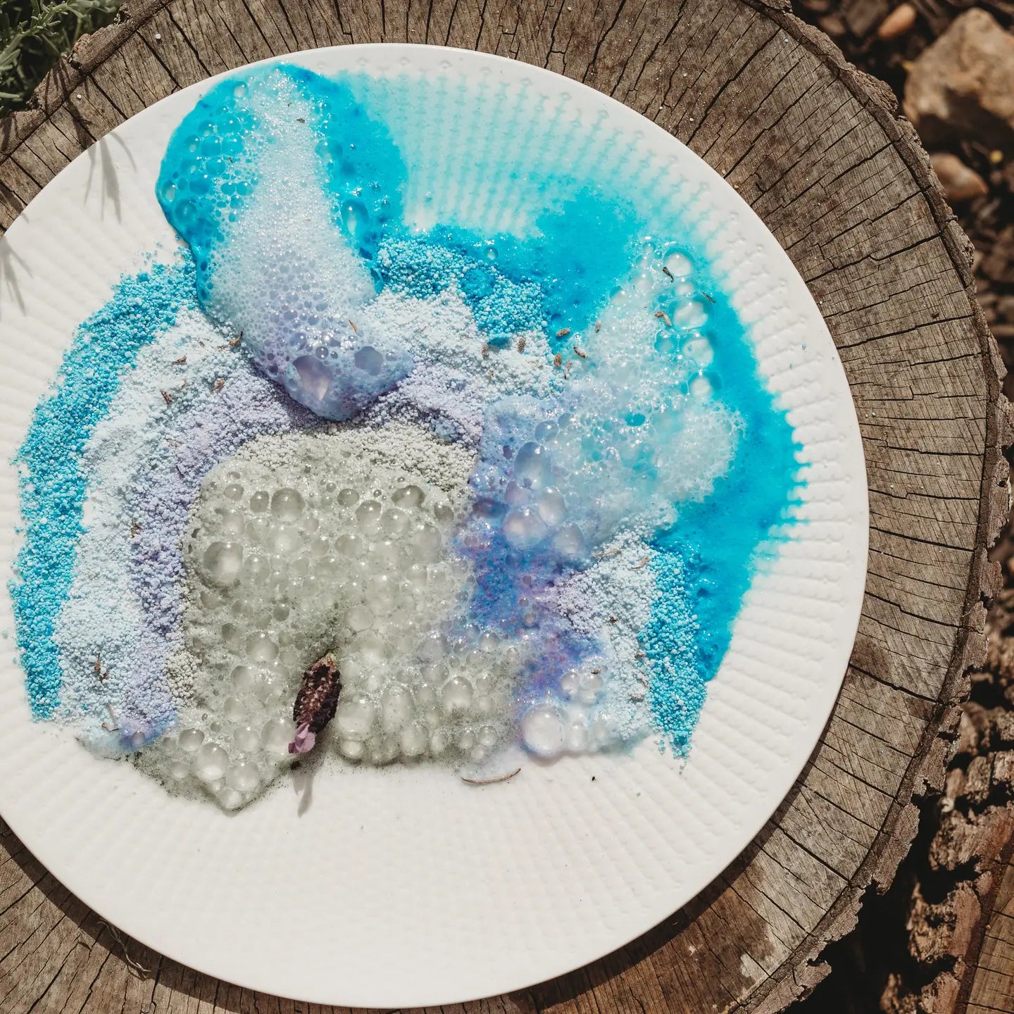 The Saltwater Collective - Fizz Sea Moss 250g