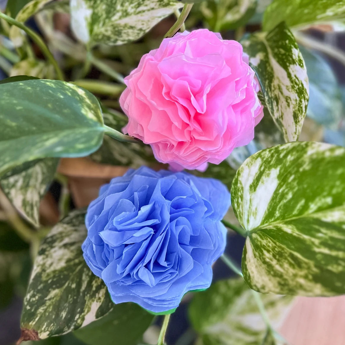 Mercurius - Window Star Folding Paper (16cm x 16cm) 40gsm 100 sheet Wax-like Kite Paper