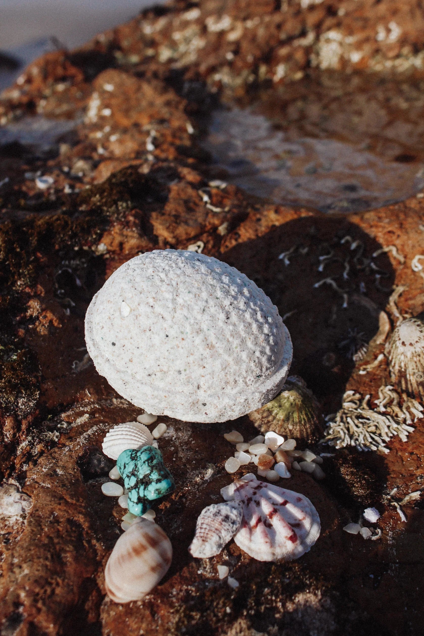 Wild Mountain Child - Merfolk Egg
