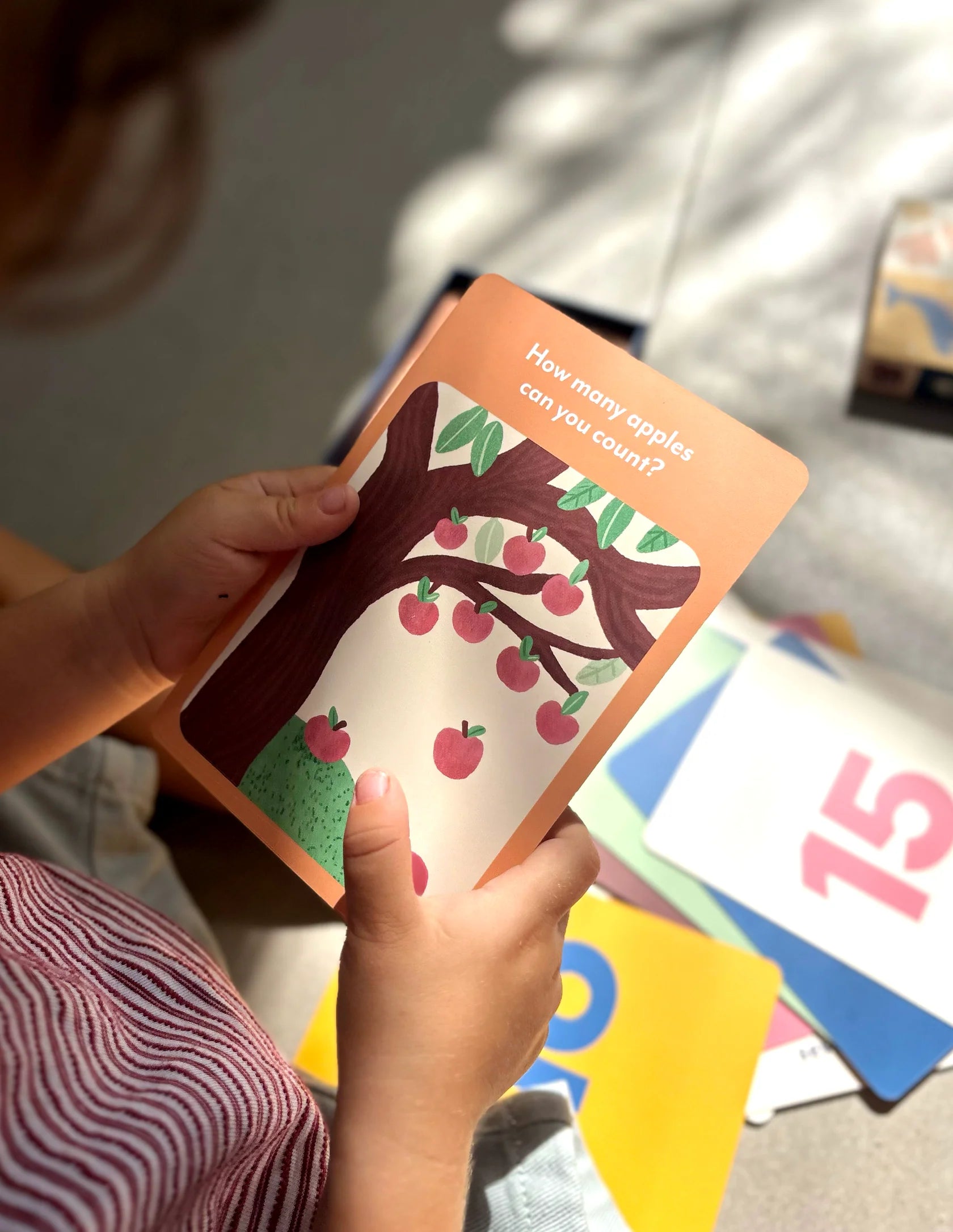 Lauren Sissons Studio - Illustrated Number Flashcards