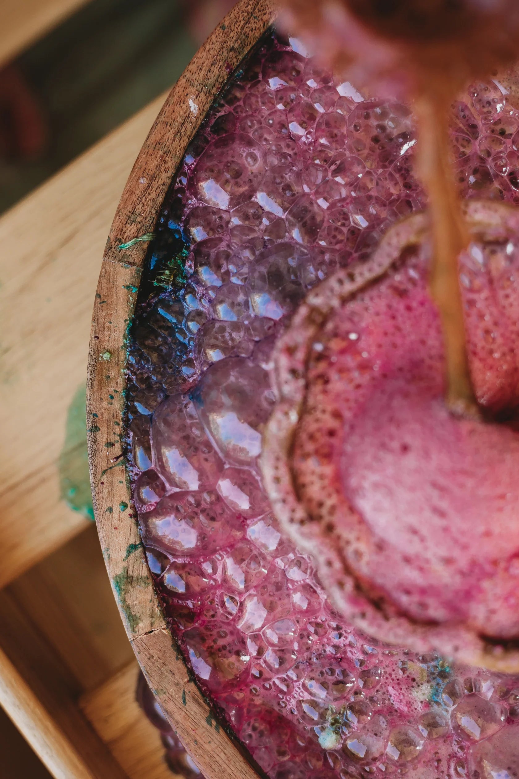 The Saltwater Collective - Fizz Anemone 250g
