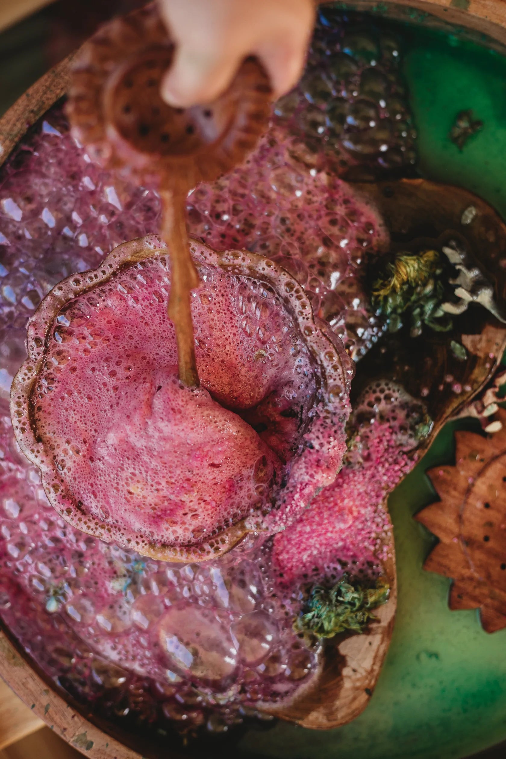 The Saltwater Collective - Fizz Anemone 250g