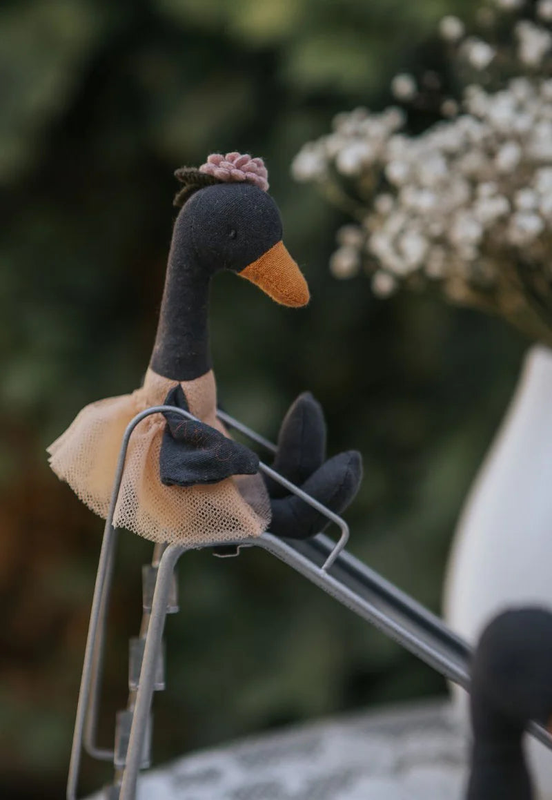 Rugaroo - The Bush Florist Ballerina Black Swan ‘Wattle’