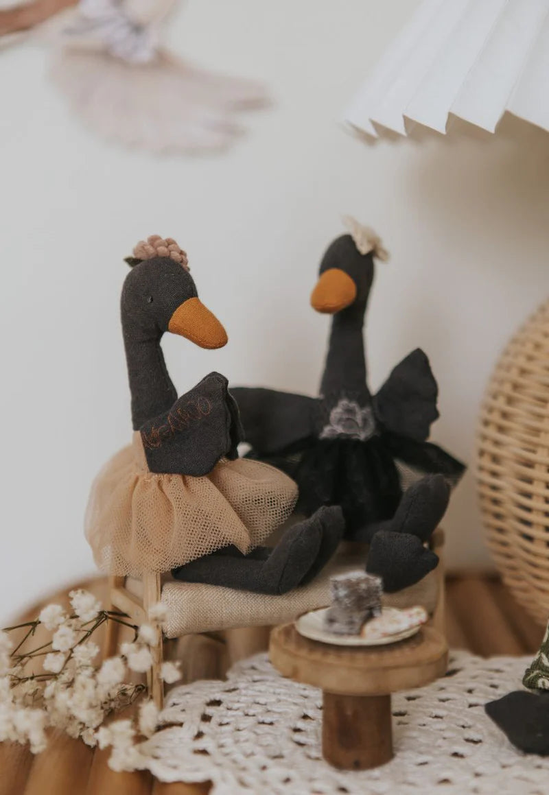 Rugaroo - The Bush Florist Ballerina Black Swan ‘Wattle’