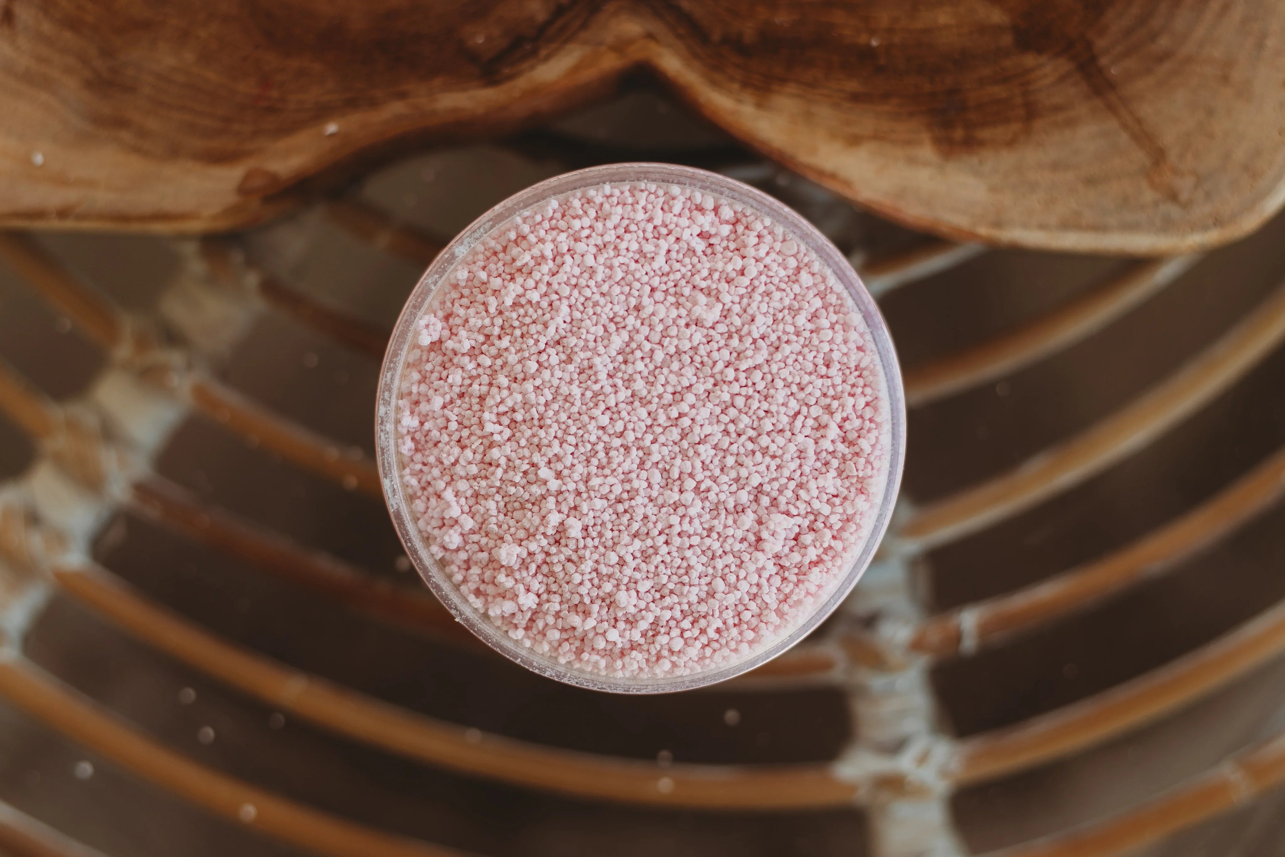 The Saltwater Collective - Fizz Jellyfish Bloom 250g