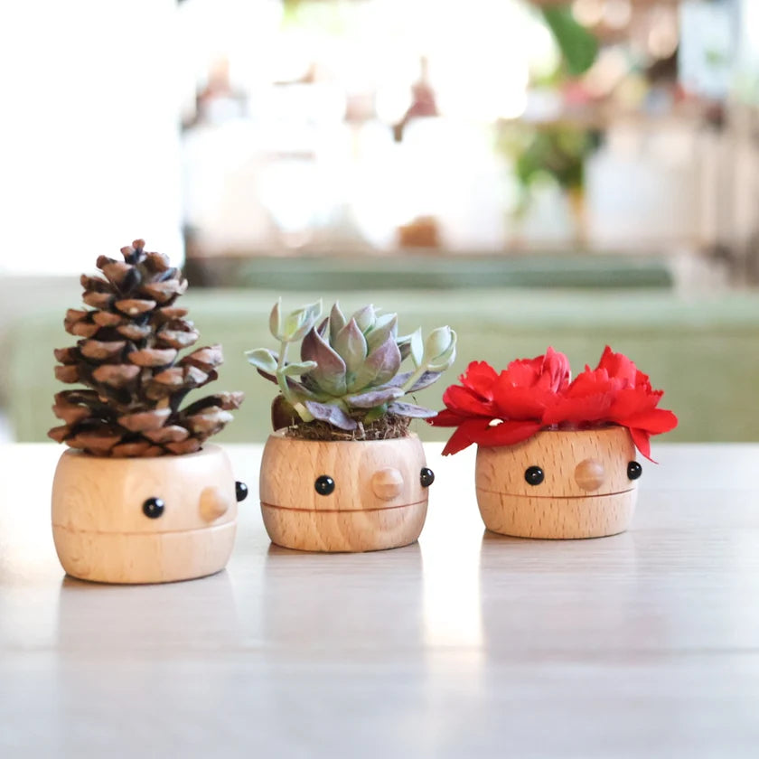 Comomg - Donguri Mini Planter