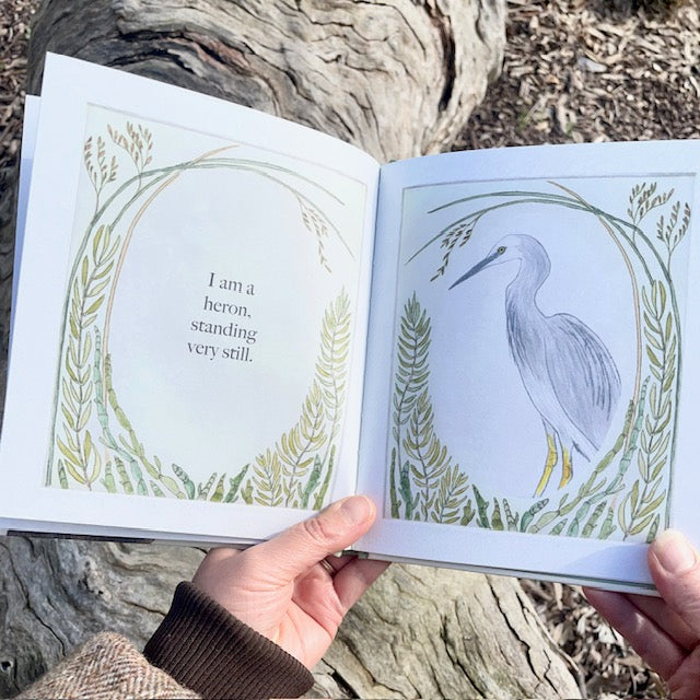 Bridget Farmer - I am a Magpie