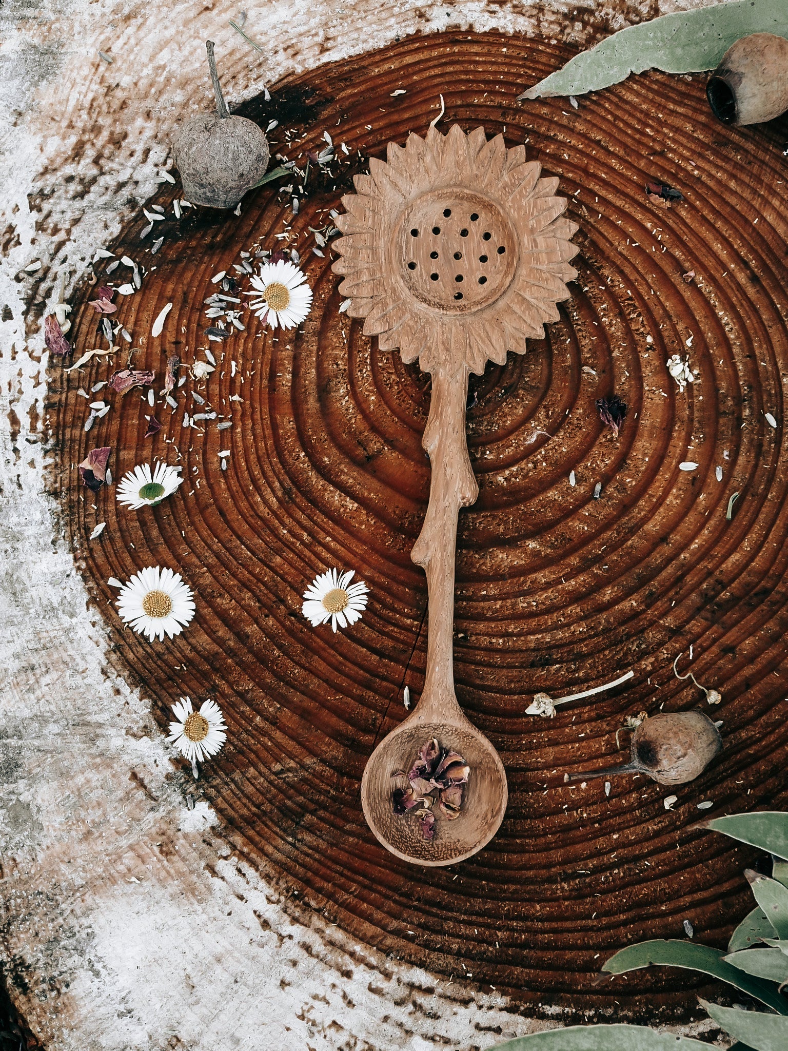 Wild Mountain Child Sunflower Slotted Duo Spoon - Cheeky Junior
