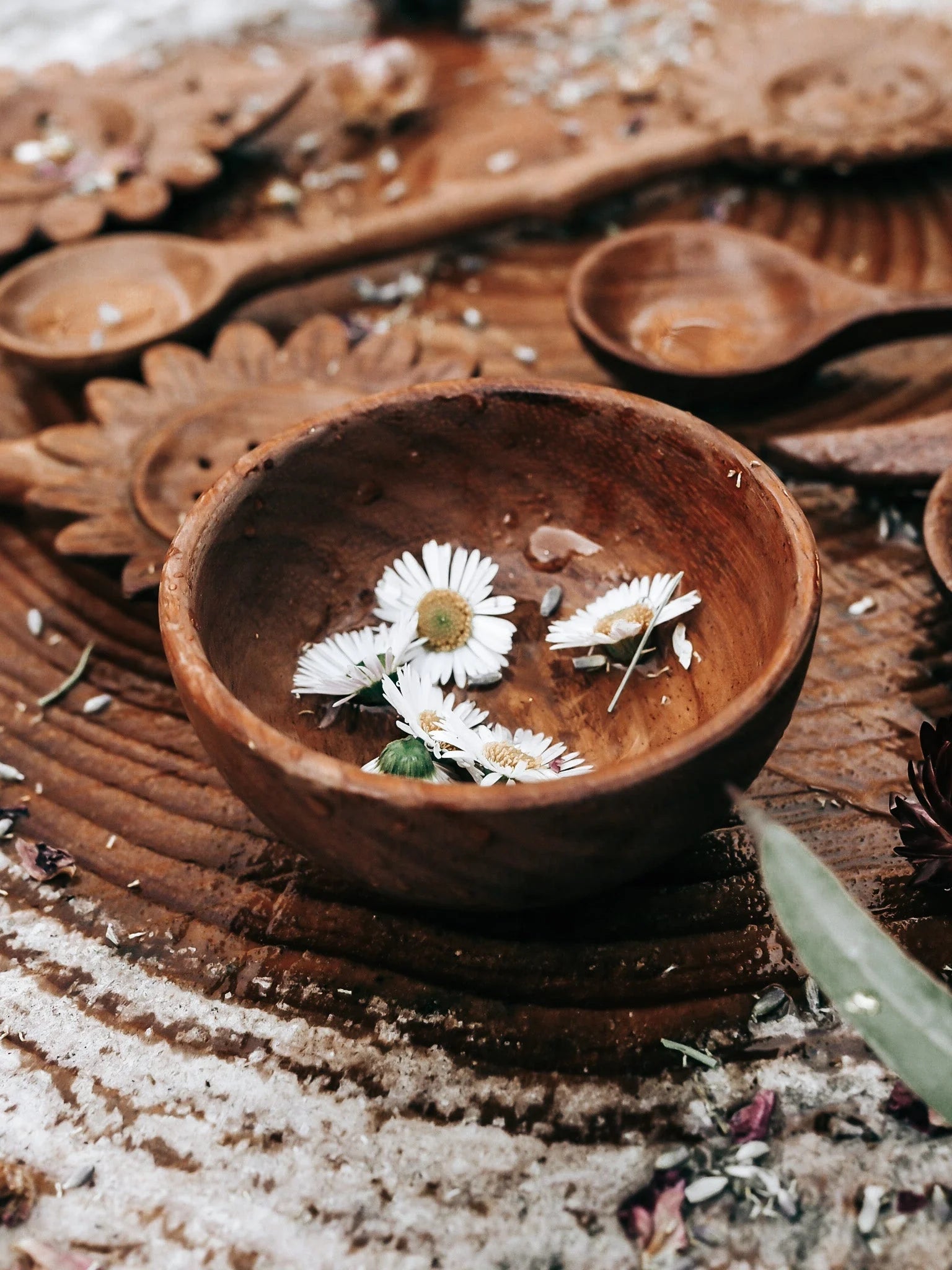 Wild Mountain Child Treasure Bowl - Cheeky Junior