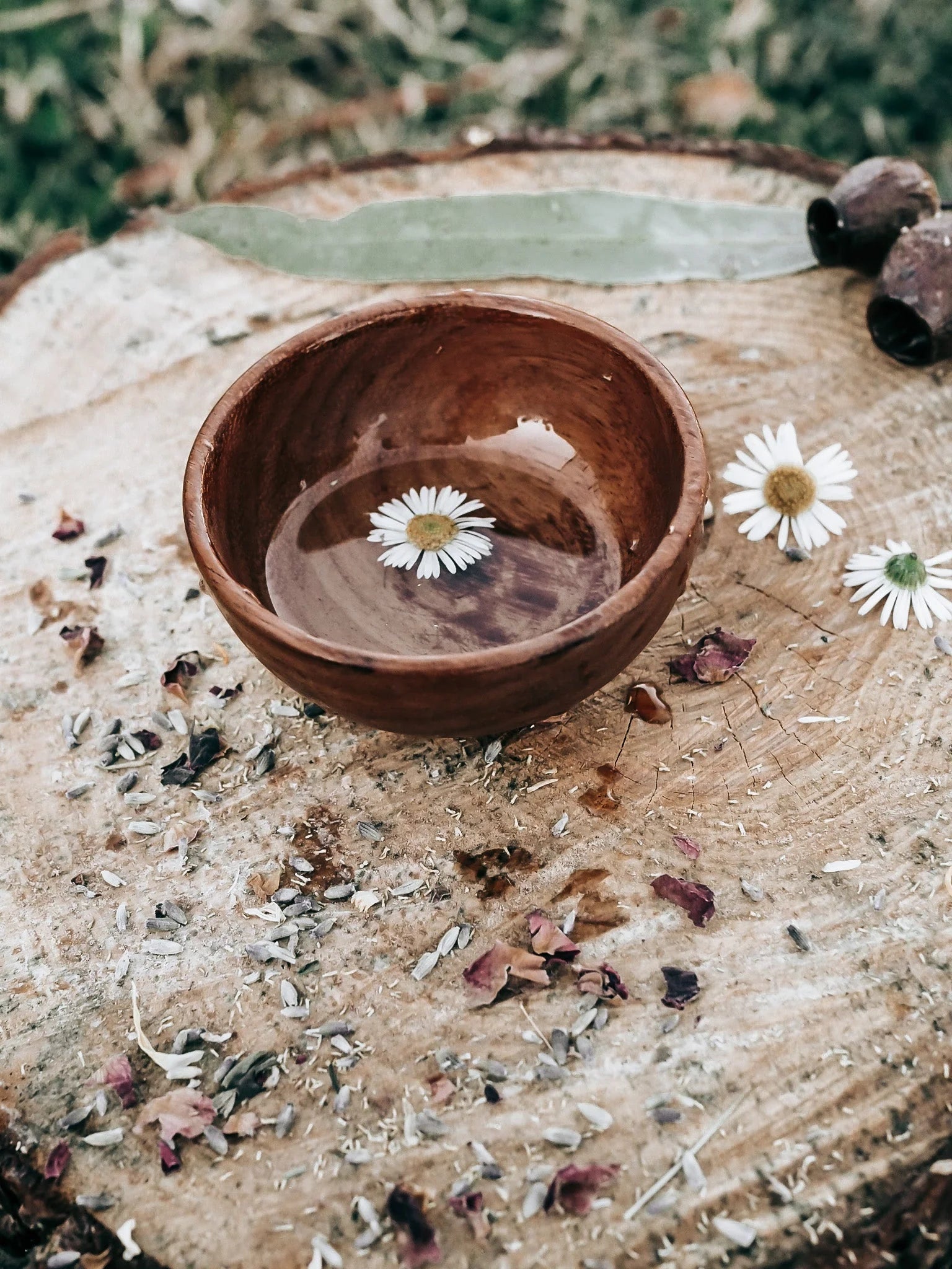Wild Mountain Child Treasure Bowl - Cheeky Junior