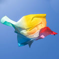 Load image into Gallery viewer, Play Silkies Rainbow 90cm x 90cm
