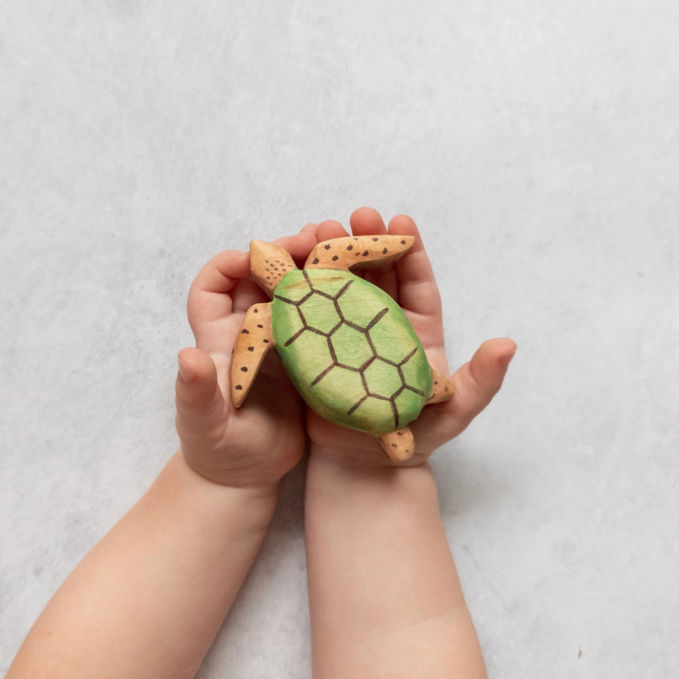NOM Handcrafted - Turtle