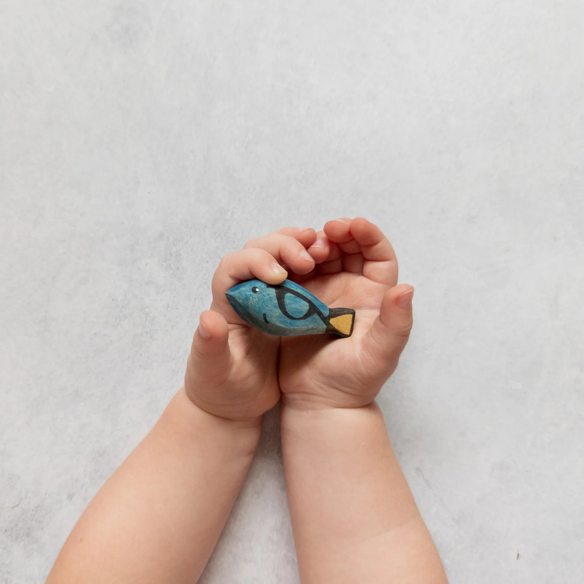 Nom Handcrafted Blue Tang Fish - Cheeky Junior