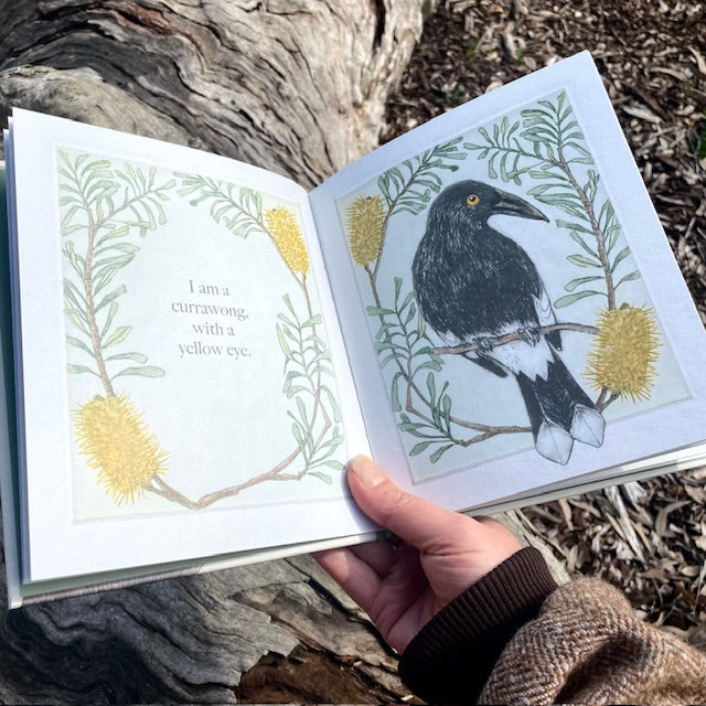 Bridget Farmer - I am a Magpie