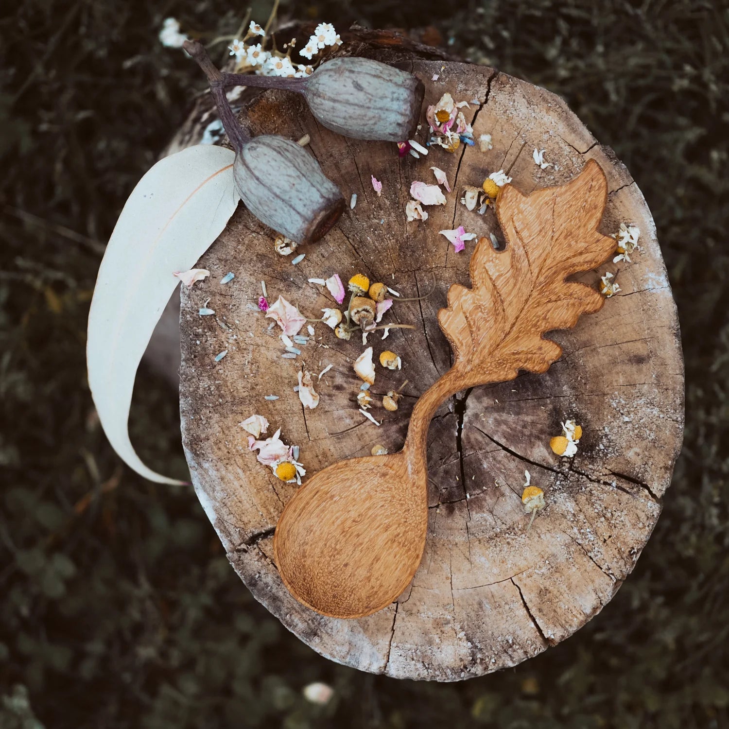 Wild Mountain Child Leaf Spoon - Cheeky Junior